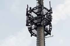 24862538_1973159499575527_4542004199984739645_n