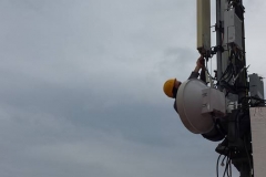 24312550_1971514476406696_4601882432989796388_n