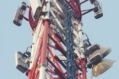 24899950_1973259982898812_1506530380396393463_n