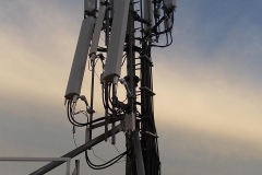 25157994_1973260182898792_6381423625255878497_n